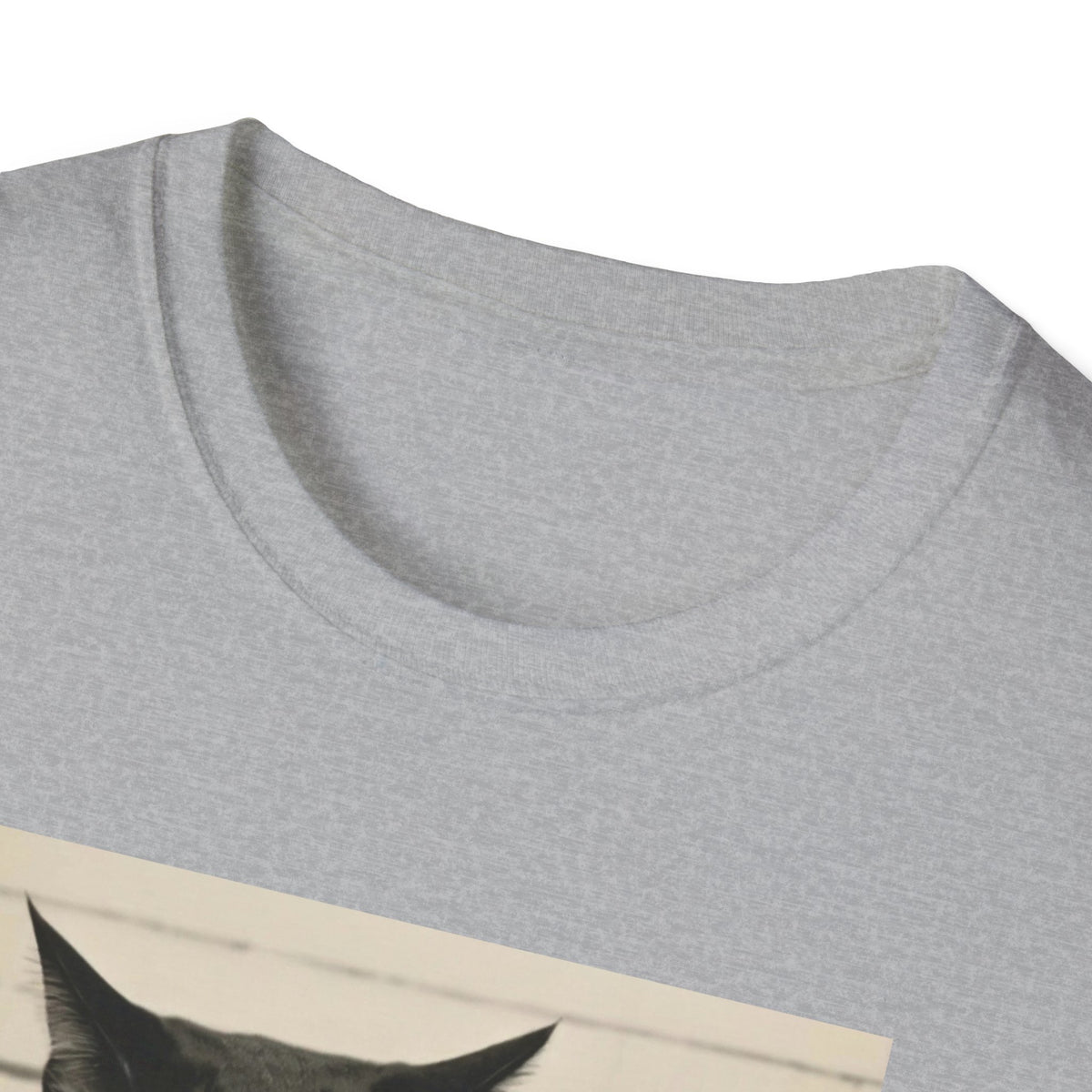 Mugshot Cat T-Shirt — 'Murder Mittens' Vintage Police Poster Tee