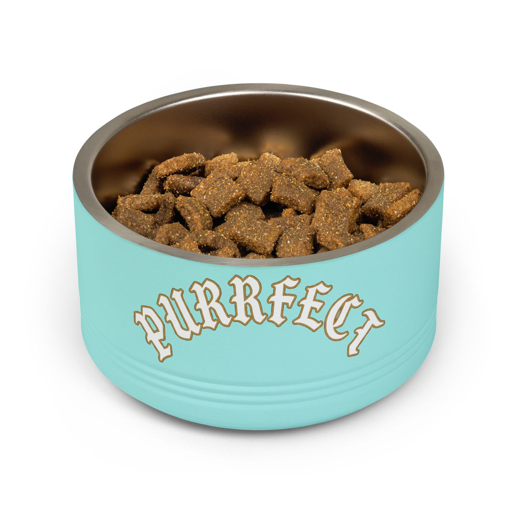 Purrfect Cat Bowl