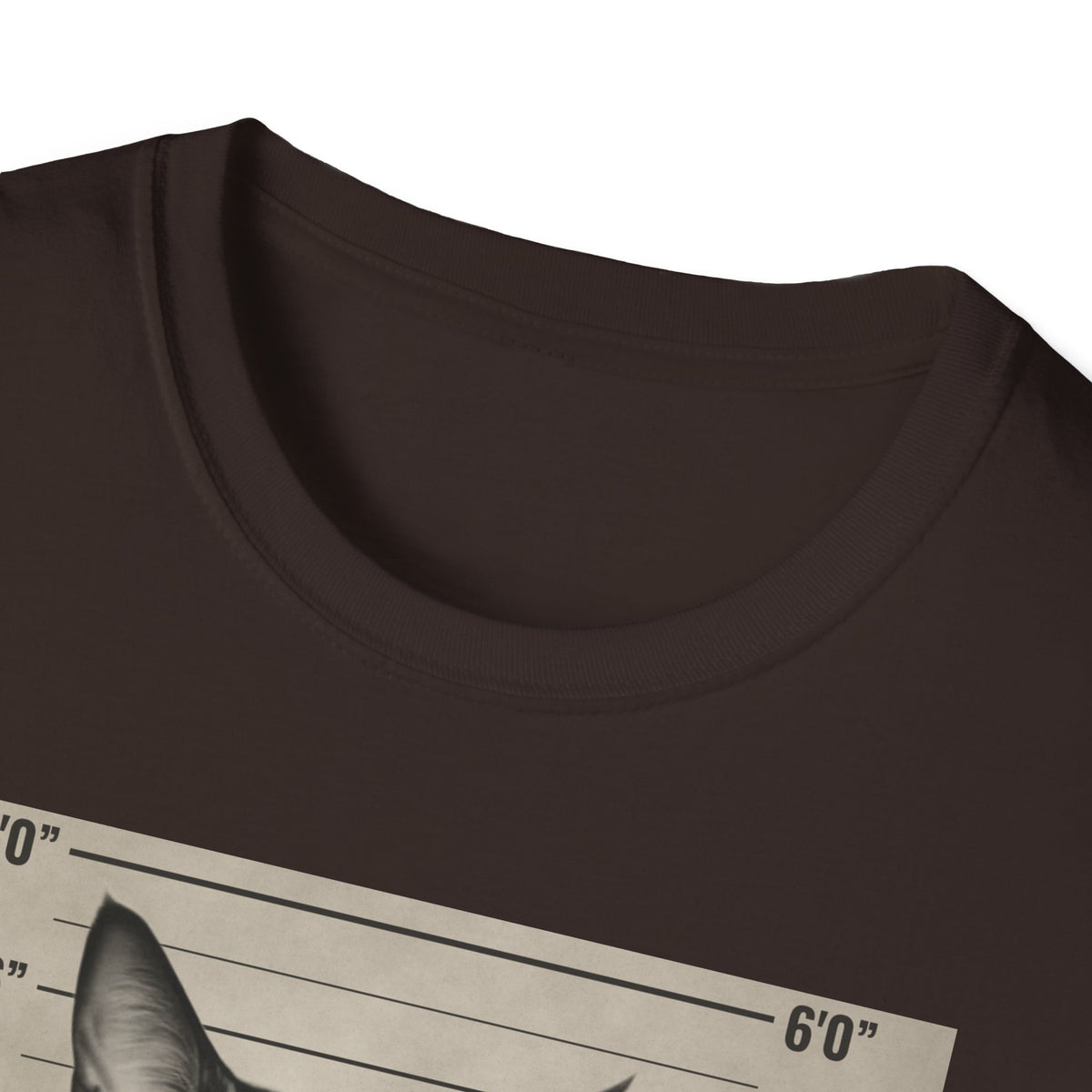 Cat Mugshot T-Shirt — “Your Cat Hates You” Funny Cat Lover Tee