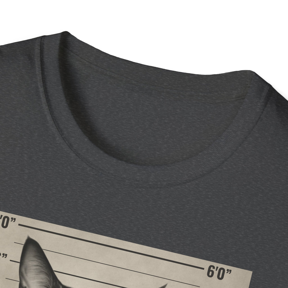 Cat Mugshot T-Shirt — “Your Cat Hates You” Funny Cat Lover Tee