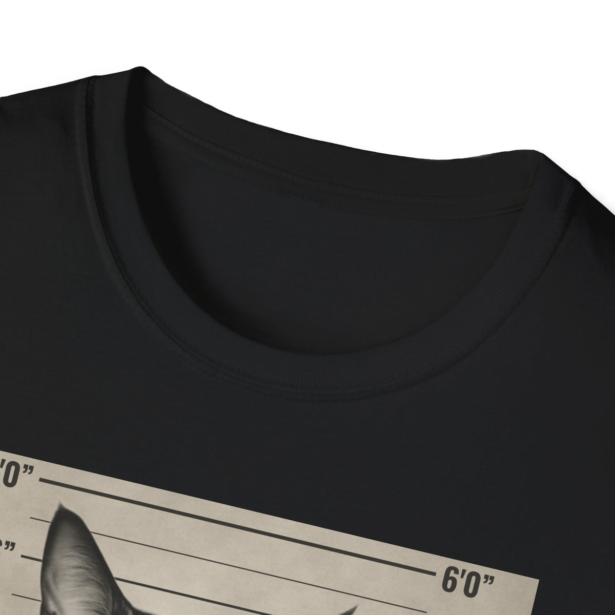 Cat Mugshot T-Shirt — “Your Cat Hates You” Funny Cat Lover Tee