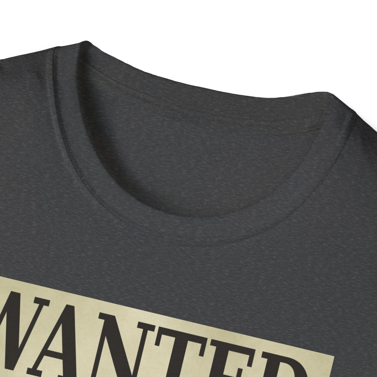 Wanted: Attention Cat T-Shirt — Vintage Pet Poster Tee