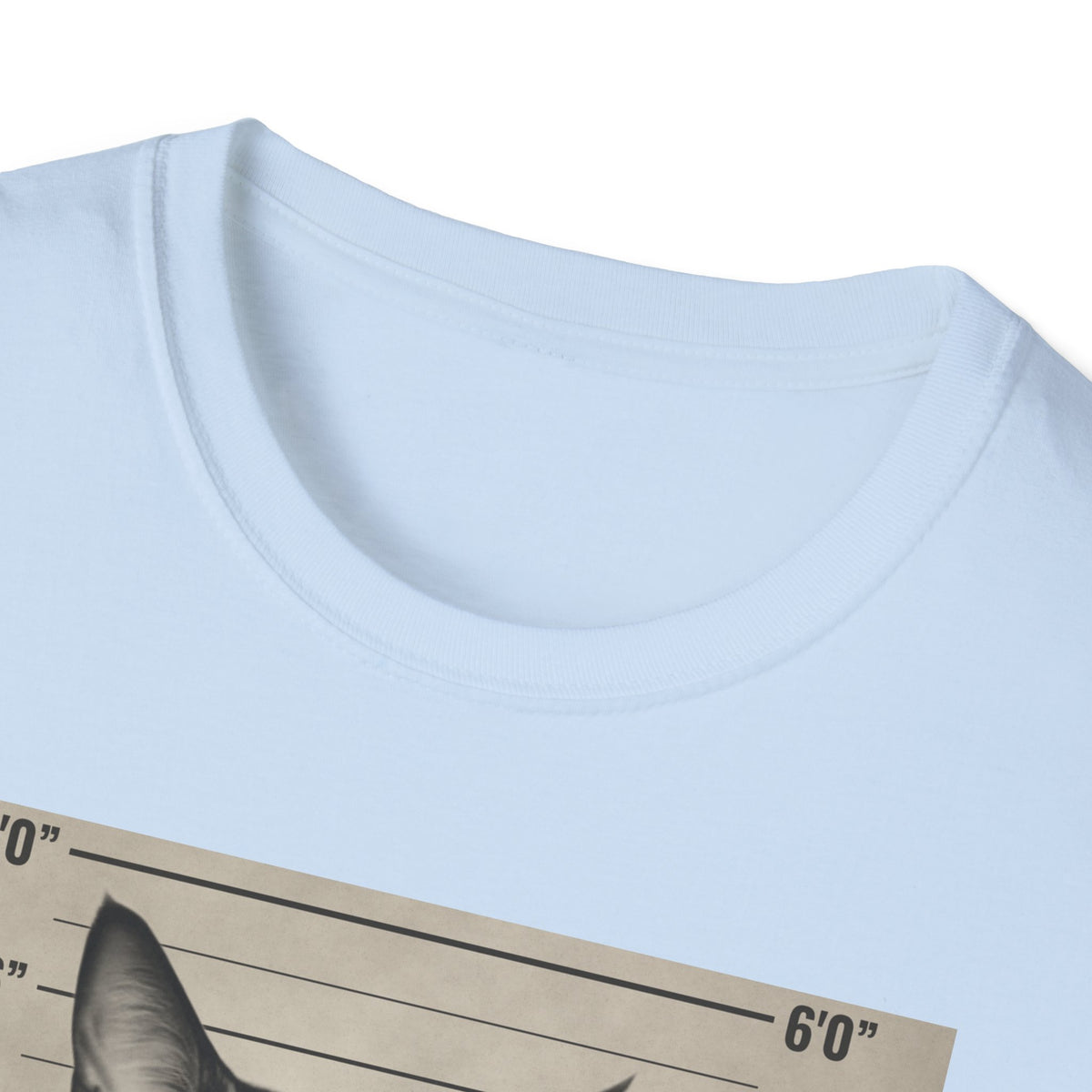 Cat Mugshot T-Shirt — “Your Cat Hates You” Funny Cat Lover Tee