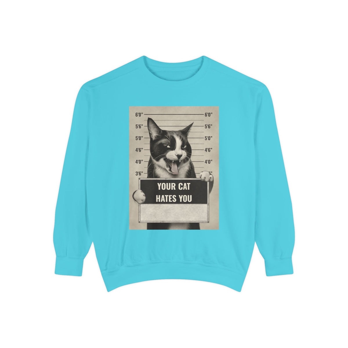 Cat Mugshot Sweatshirt — “Your Cat Hates You” Vintage Pet Lover Pullover