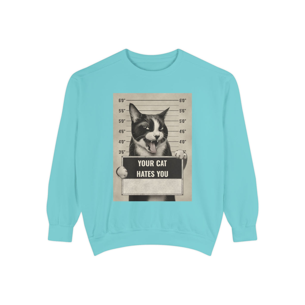 Cat Mugshot Sweatshirt — “Your Cat Hates You” Vintage Pet Lover Pullover